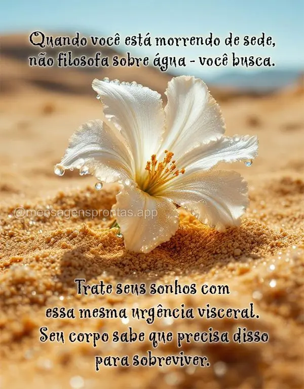 Quando você está morrendo de sede, não filosofa sobre água - você busca. Trate seus sonhos com essa mesma urgência visceral. Seu corpo sabe que pre...
