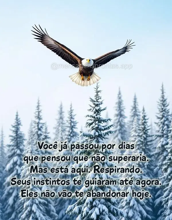 Você já passou por dias que pensou que não superaria. Mas está aqui. Respirando. Seus instintos te guiaram até agora. Eles não vão te abandonar ho...