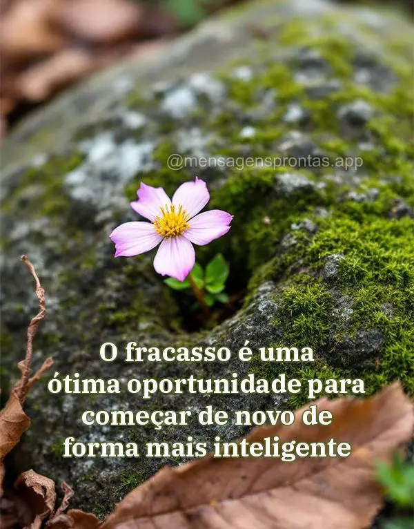 O fracasso é uma ótima oportunidade para começar de novo de forma mais inteligente