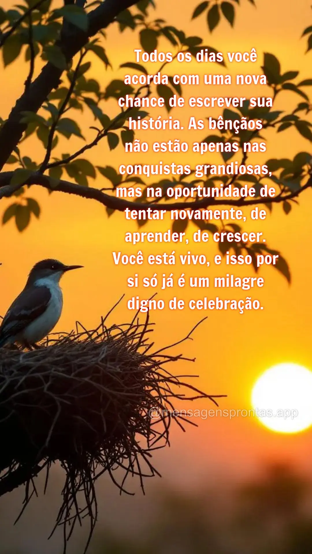 Todos os dias você acorda com uma nova chance de escrever sua história. As bênçãos 
não estão apenas nas conquistas grandiosas, mas na oportunida...