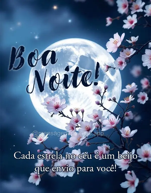 Cada estrela no céu é um beijo que envio para você. Boa noite!