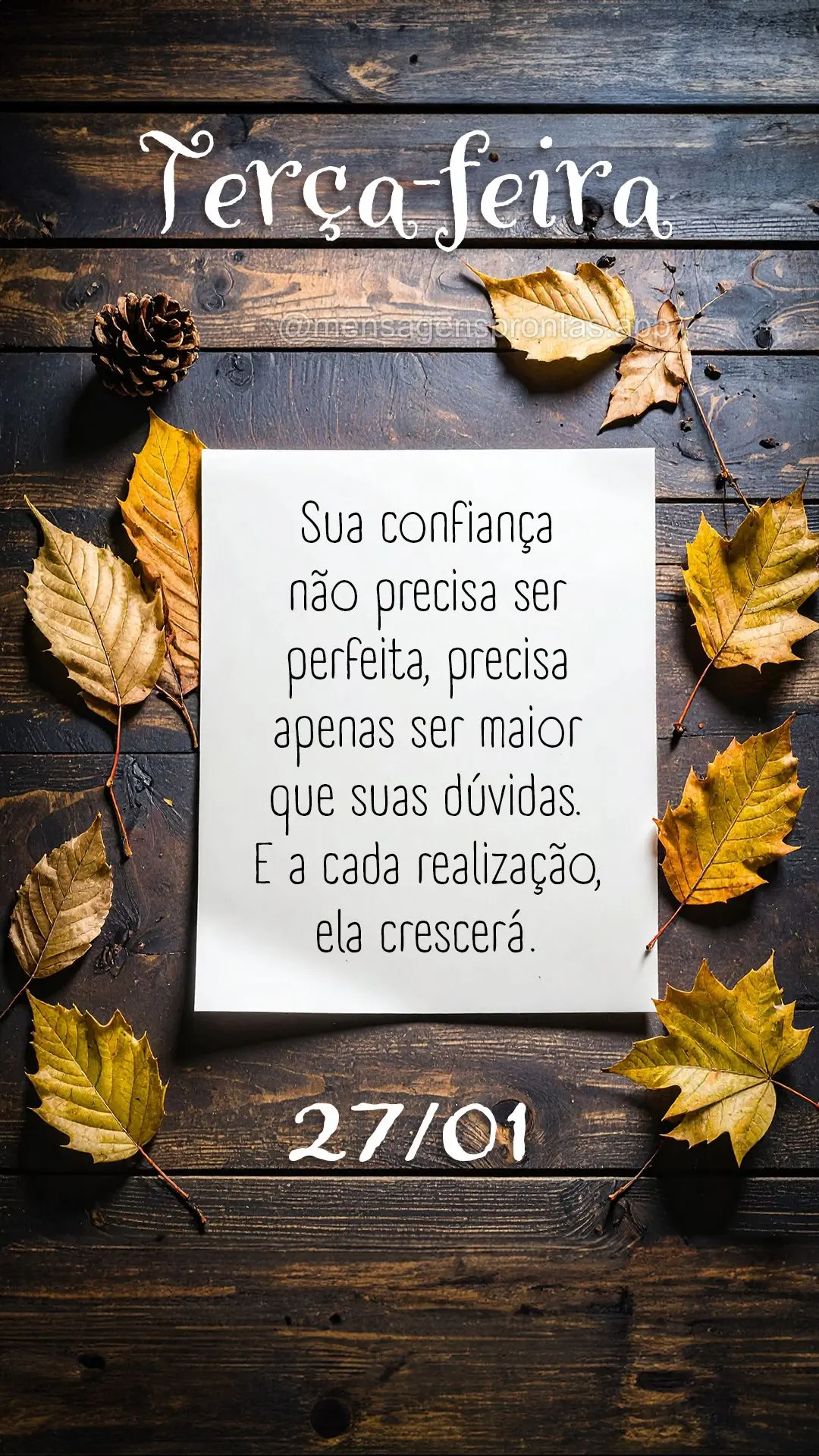 Sua confiança não precisa ser perfeita, precisa apenas ser maior que suas dúvidas. E a cada realização, ela crescerá. 27/01 Terça-feira