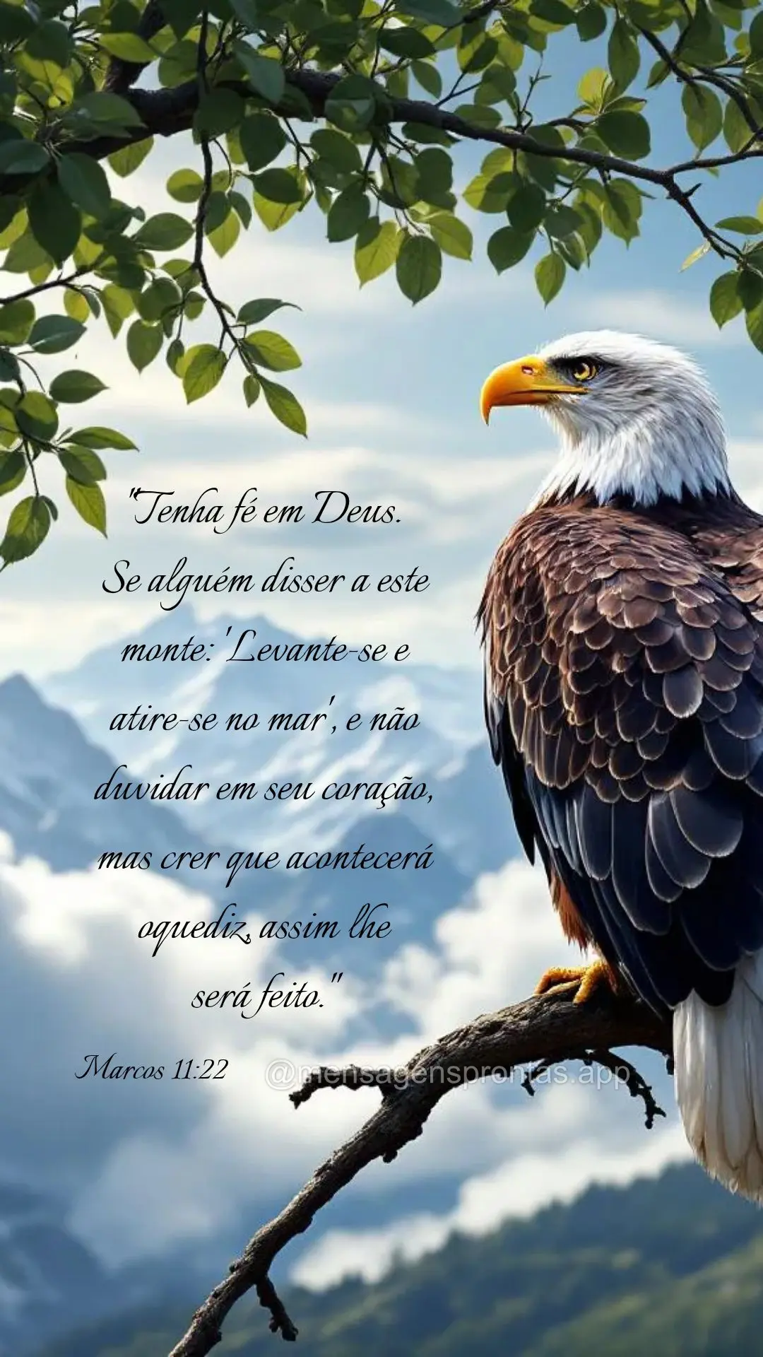 "Tenha fé em Deus. 
Se alguém disser a este monte: 'Levante-se e 
atire-se no mar', e não duvidar em seu coração, 
mas crer que acontecerá 
oqu...