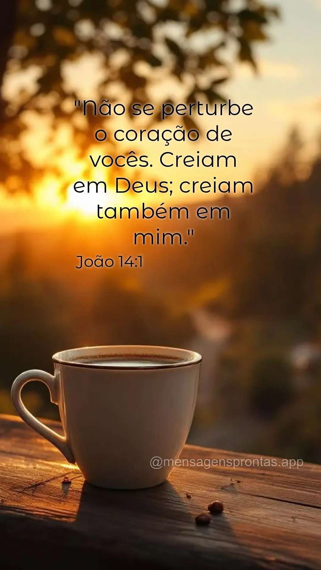 "Não se perturbe o coração de vocês. Creiam em Deus; creiam também em mim." João 14:1