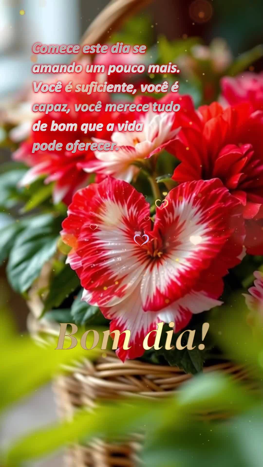 Comece este dia se amando um pouco mais. Você é suficiente, você é capaz, você merece tudo de bom que a vida pode oferecer. Bom dia!