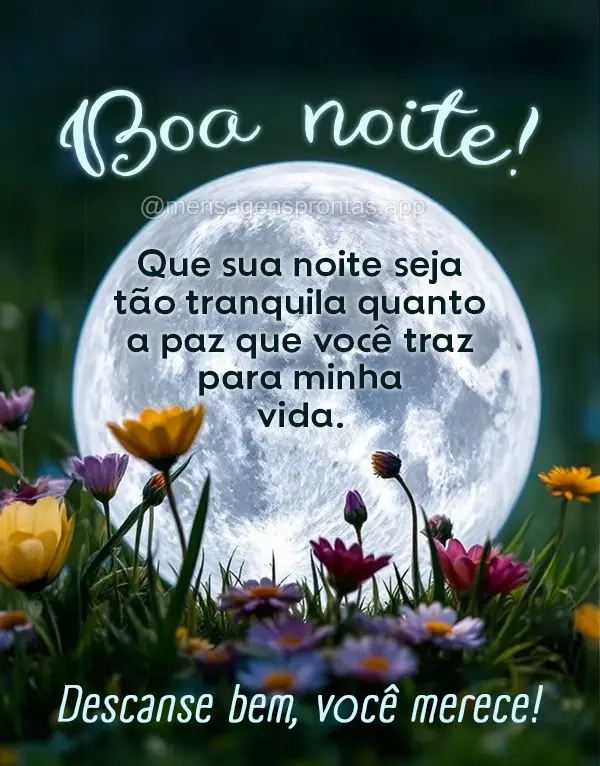 Que sua noite seja tão tranquila quanto a paz que você traz para minha vida. Descanse bem, você merece! Boa noite!