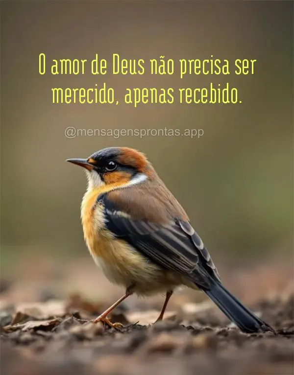 O amor de Deus não precisa ser merecido, apenas recebido.