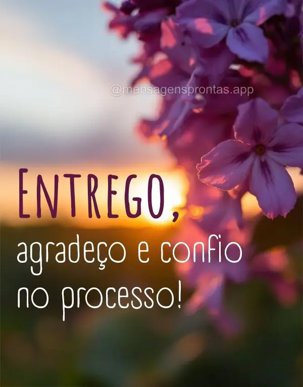 Entrego, agradeço e confio no processo!