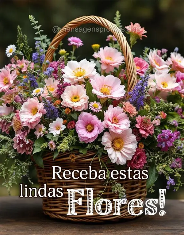 Receba estas lindas Flores!