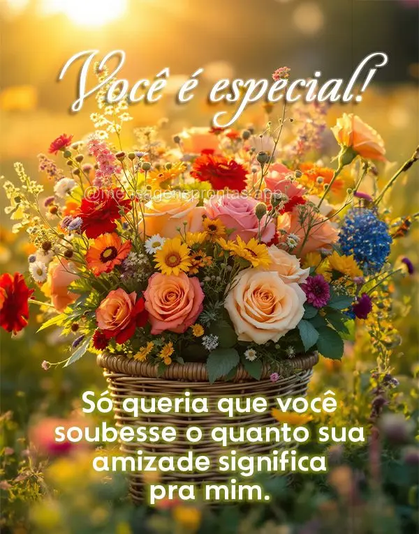 Só queria que você soubesse o quanto sua amizade significa pra mim. Você é especial!