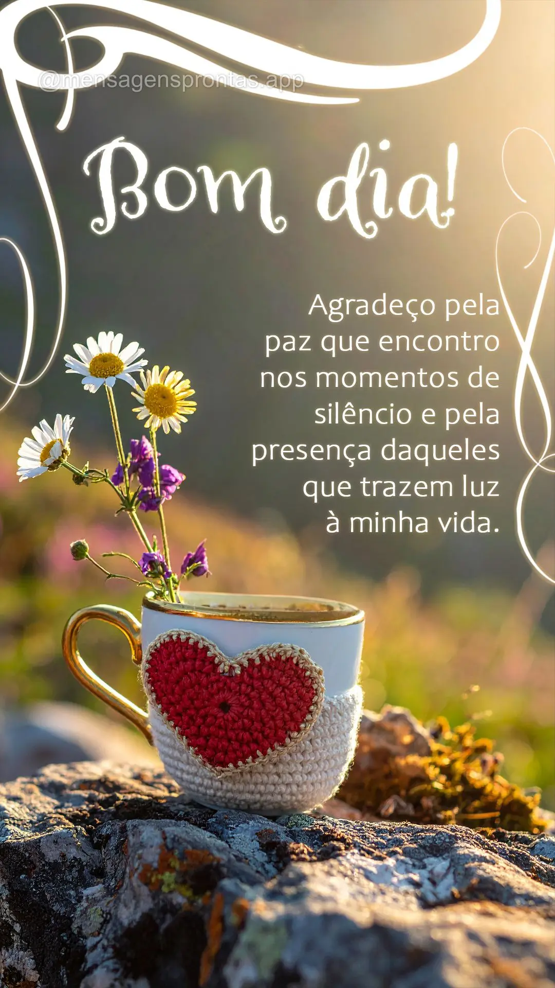 Agradeço pela paz que encontro nos momentos de silêncio e pela presença daqueles que trazem luz à minha vida. Bom dia!