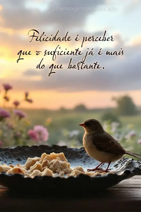 Felicidade é perceber que o suficiente já é mais do que bastante.