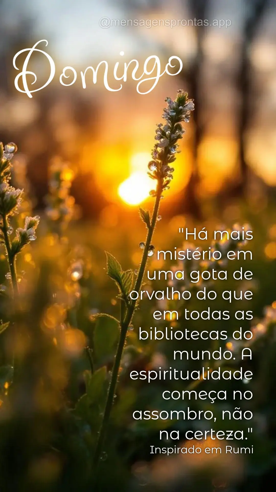 "Há mais mistério em uma gota de orvalho do que em todas as bibliotecas do mundo. A espiritualidade começa no assombro, não na certeza." Domingo Insp...