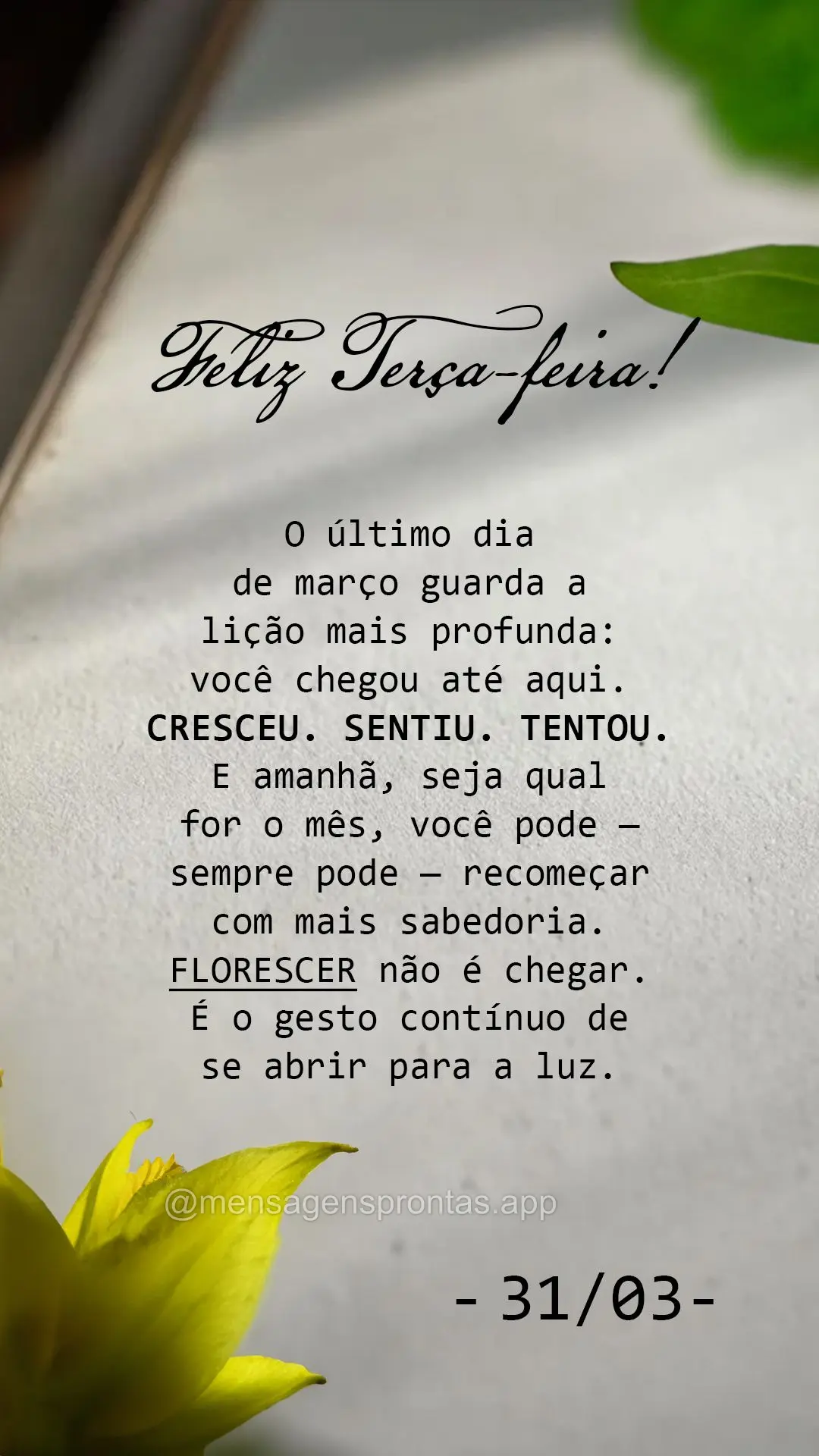 O último dia de março guarda a lição mais profunda: você chegou até aqui. Cresceu. Sentiu. Tentou. E amanhã, seja qual for o mês, você pode — ...