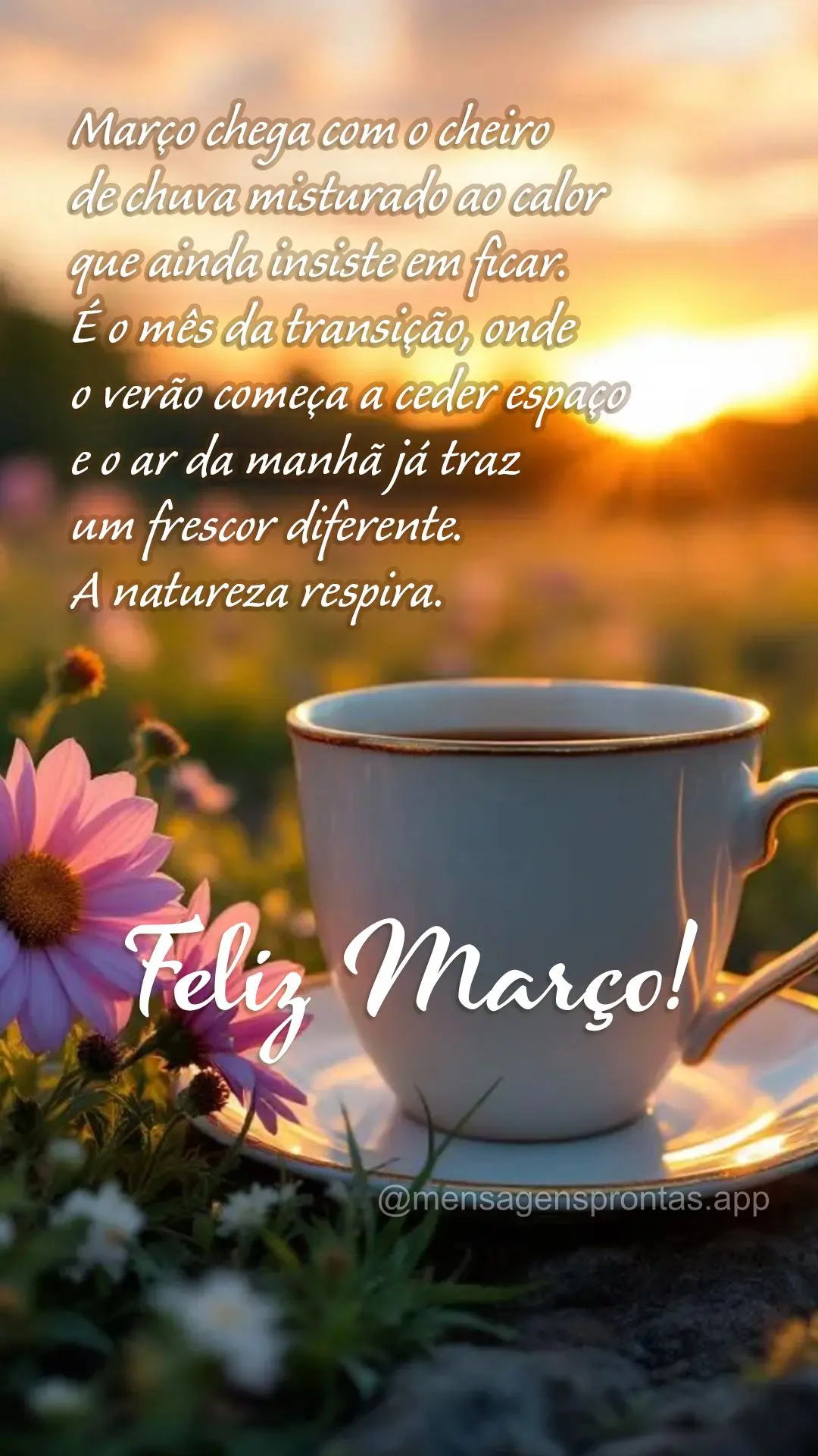 Março chega com o cheiro de chuva misturado ao calor que ainda insiste em ficar. É o mês da transição, onde o verão começa a ceder espaço e o ar ...