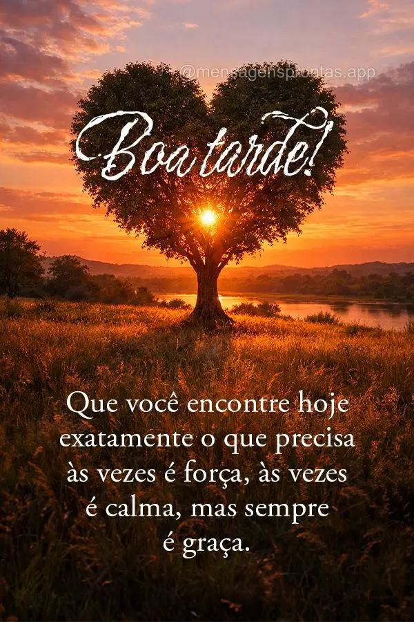 Que você encontre hoje exatamente o que precisa — às vezes é força, às vezes é calma, mas sempre é graça. Boa tarde!