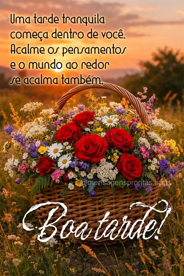 Uma tarde tranquila começa dentro de você. Acalme os pensamentos e o mundo ao redor se acalma também. Boa tarde!