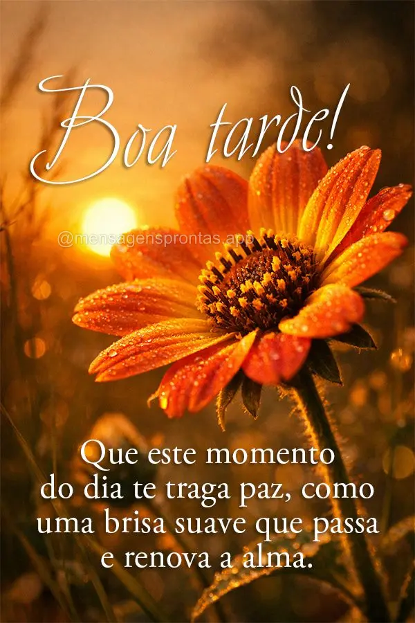 Que este momento do dia te traga paz, como uma brisa suave que passa e renova a alma. Boa tarde!
