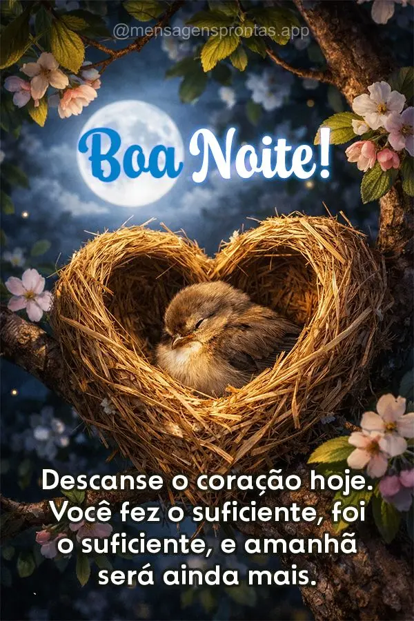 Descanse o coração hoje. Você fez o suficiente, foi o suficiente, e amanhã será ainda mais. Boa noite!