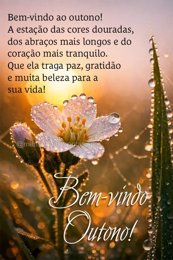 Bem-vindo ao outono — a estação das cores douradas, dos abraços mais longos e do coração mais tranquilo. Que ela traga paz, gratidão e muita bele...