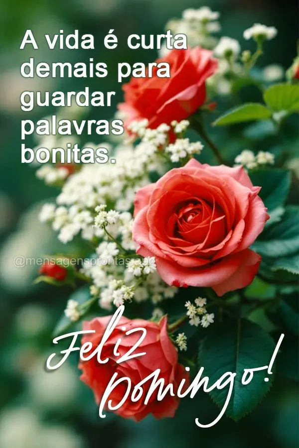 A vida é curta demais para guardar palavras bonitas. Feliz Domingo!