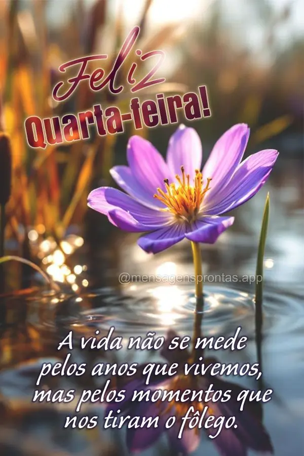 A vida não se mede pelos anos que vivemos, mas pelos momentos que nos tiram o fôlego. Feliz Quarta-feira!