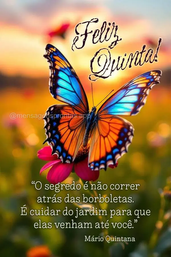 "O segredo é não correr atrás das borboletas. É cuidar do jardim para que elas venham até você." Feliz Quinta! Mário Quintana