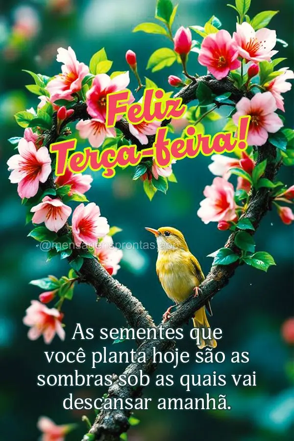 As sementes que você planta hoje são as sombras sob as quais vai descansar amanhã. Feliz Terça!