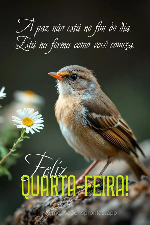 A paz não está no fim do dia. Está na forma como você começa. Feliz Quarta-feira!