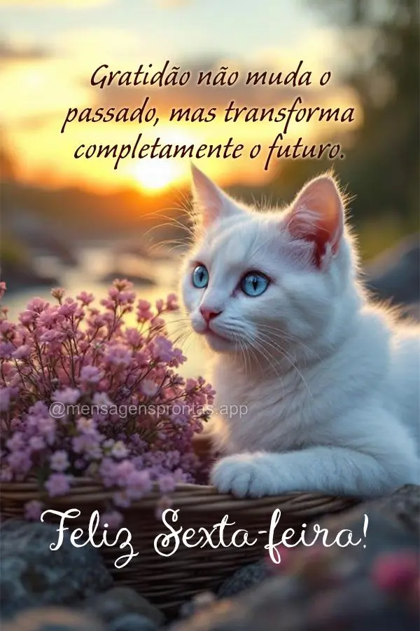 Gratidão não muda o passado, mas transforma completamente o futuro. Feliz Sexta-feira!