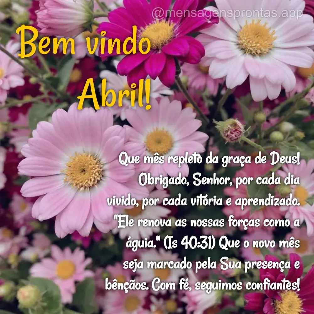 Que mês repleto da graça de Deus! Obrigado, Senhor, por cada dia vivido, por cada vitória e aprendizado. "Ele renova as nossas forças como a águia."...