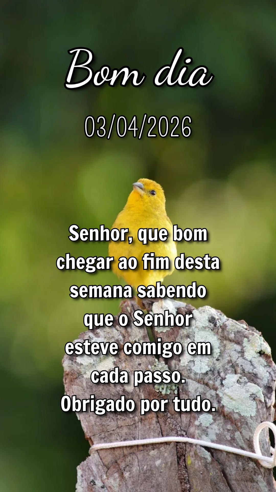 Senhor, que bom chegar ao fim desta semana sabendo que o Senhor esteve comigo em cada passo. Obrigado por tudo.
