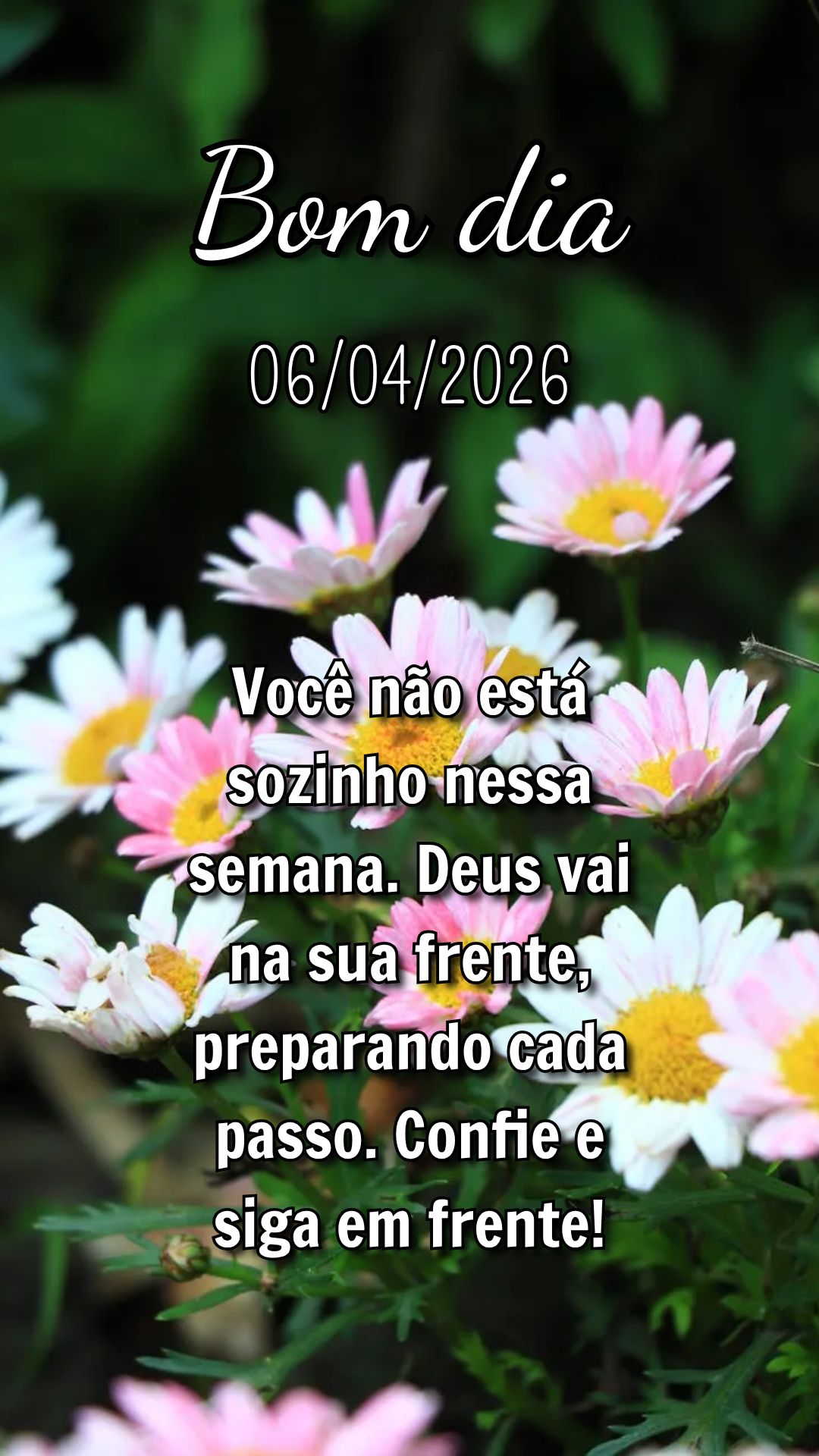 Você não está sozinho nessa semana. Deus vai na sua frente, preparando cada passo. Confie e siga em frente!