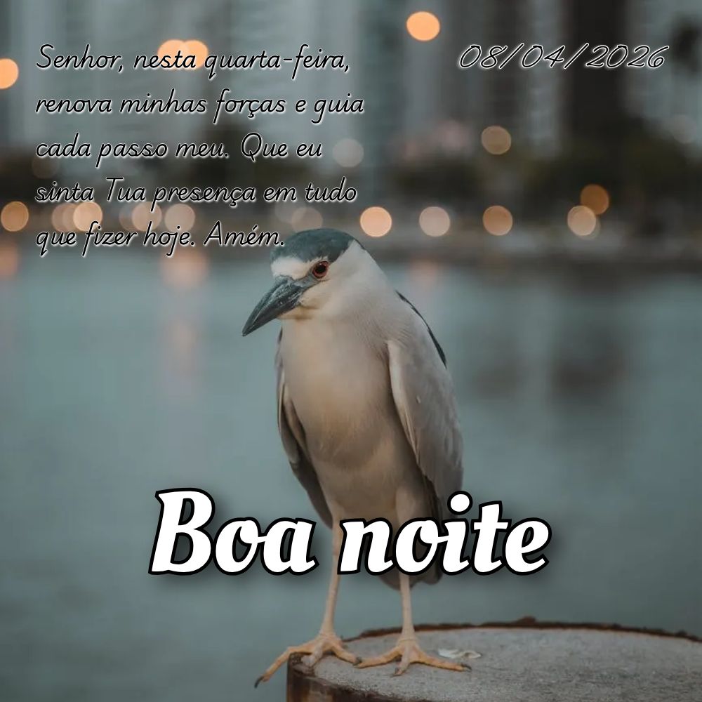 Senhor, nesta quarta-feira, renova minhas forças e guia cada passo meu. Que eu sinta Tua presença em tudo que fizer hoje. Amém.