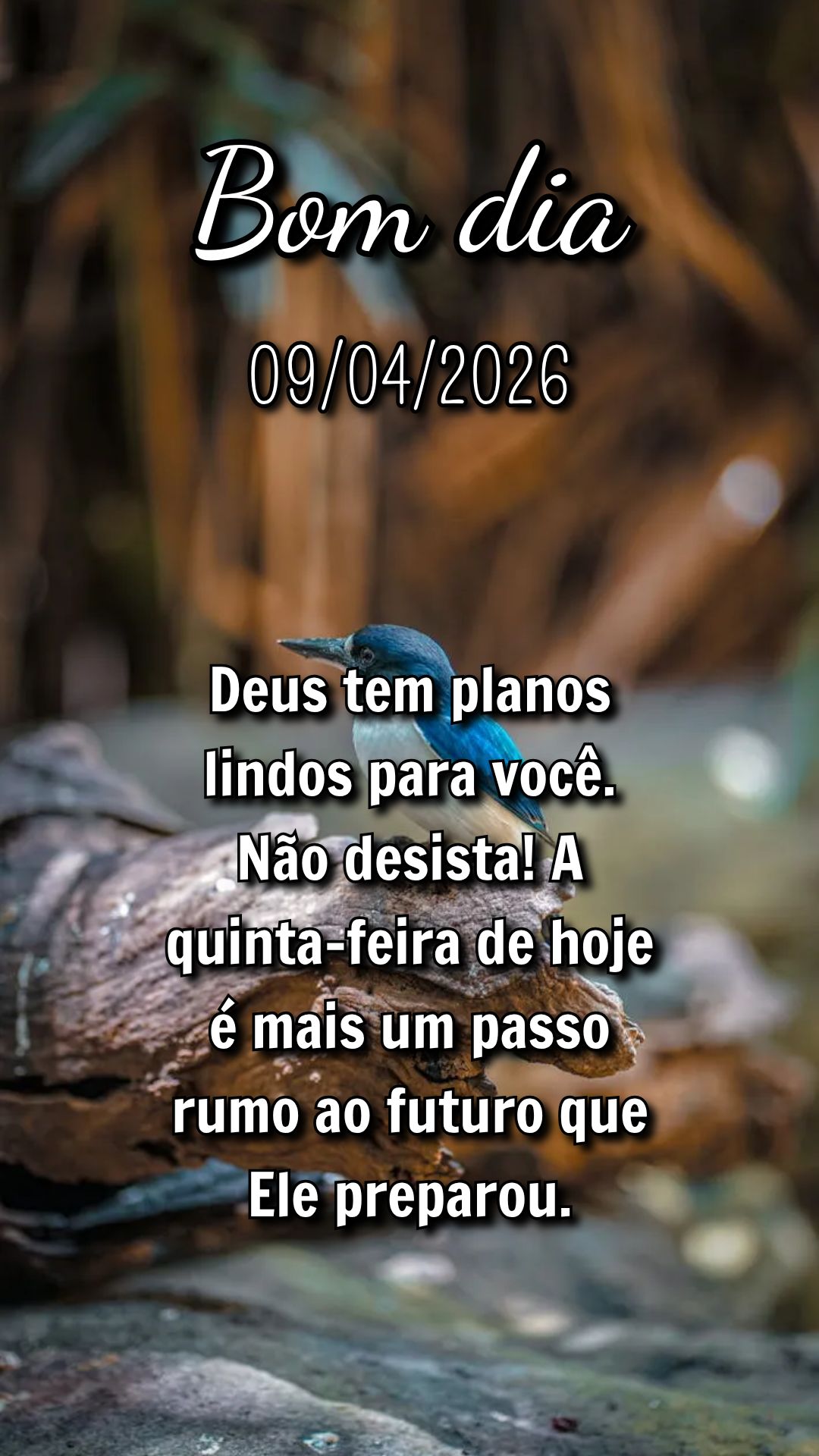 Deus tem planos lindos para você. Não desista! A quinta-feira de hoje é mais um passo rumo ao futuro que Ele preparou.