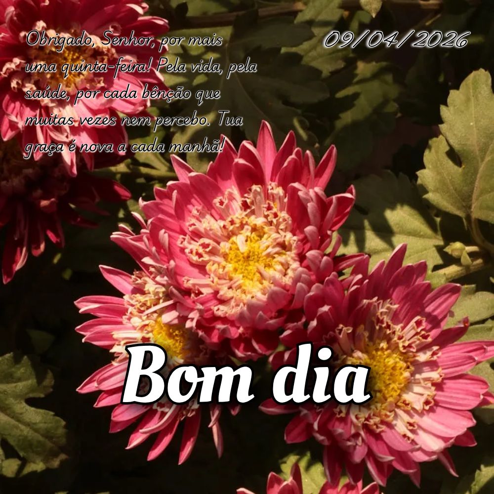 Obrigado, Senhor, por mais uma quinta-feira! Pela vida, pela saúde, por cada bênção que muitas vezes nem percebo. Tua graça é nova a cada manhã!...