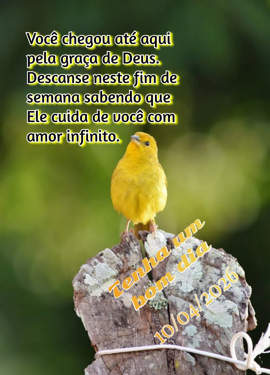 Você chegou até aqui pela graça de Deus. Descanse neste fim de semana sabendo que Ele cuida de você com amor infinito. Tenha um bom dia