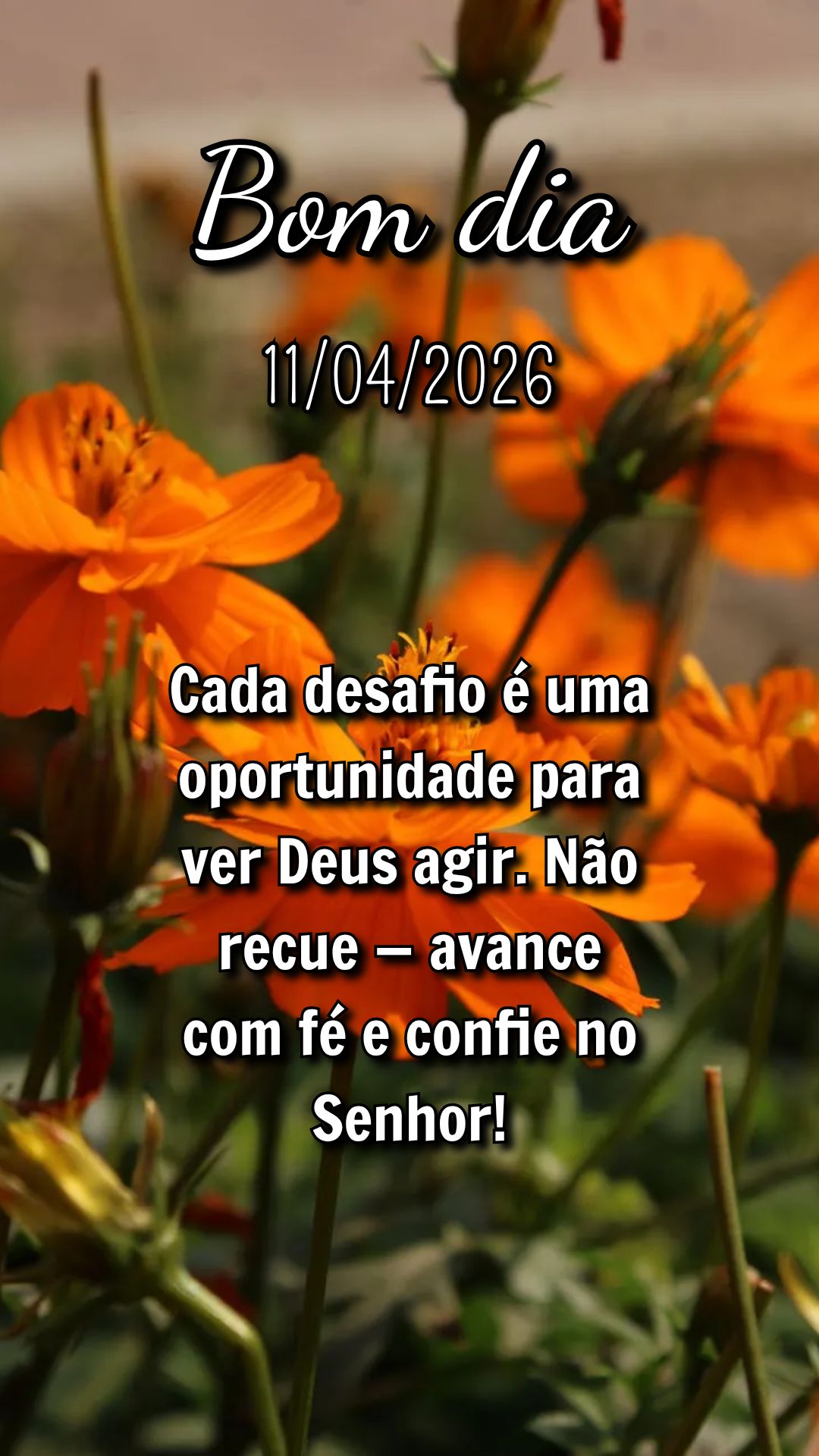 Cada desafio é uma oportunidade para ver Deus agir. Não recue — avance com fé e confie no Senhor!