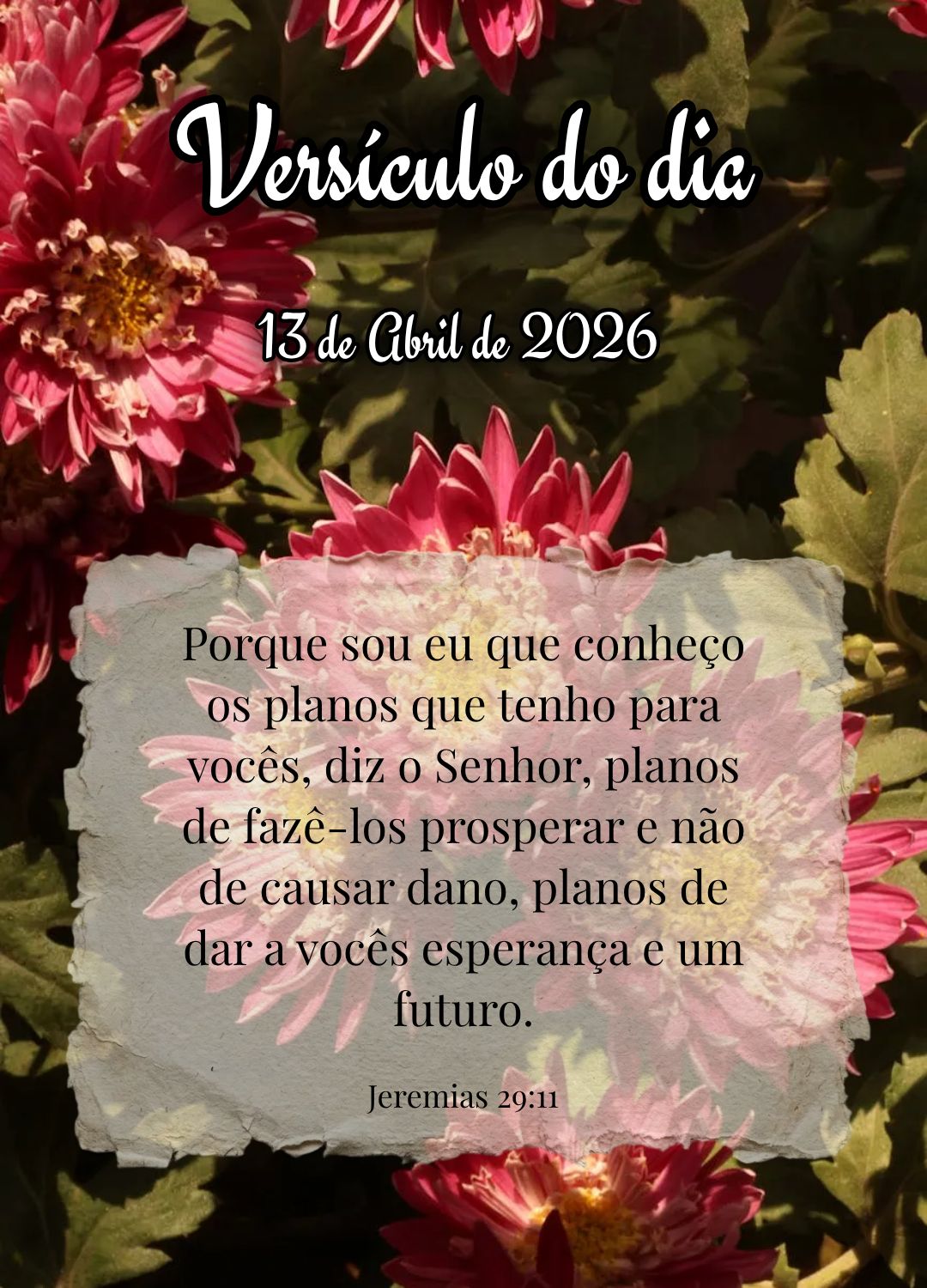 Porque sou eu que conheço os planos que tenho para vocês, diz o Senhor, planos de fazê-los prosperar e não de causar dano, planos de dar a vocês esp...