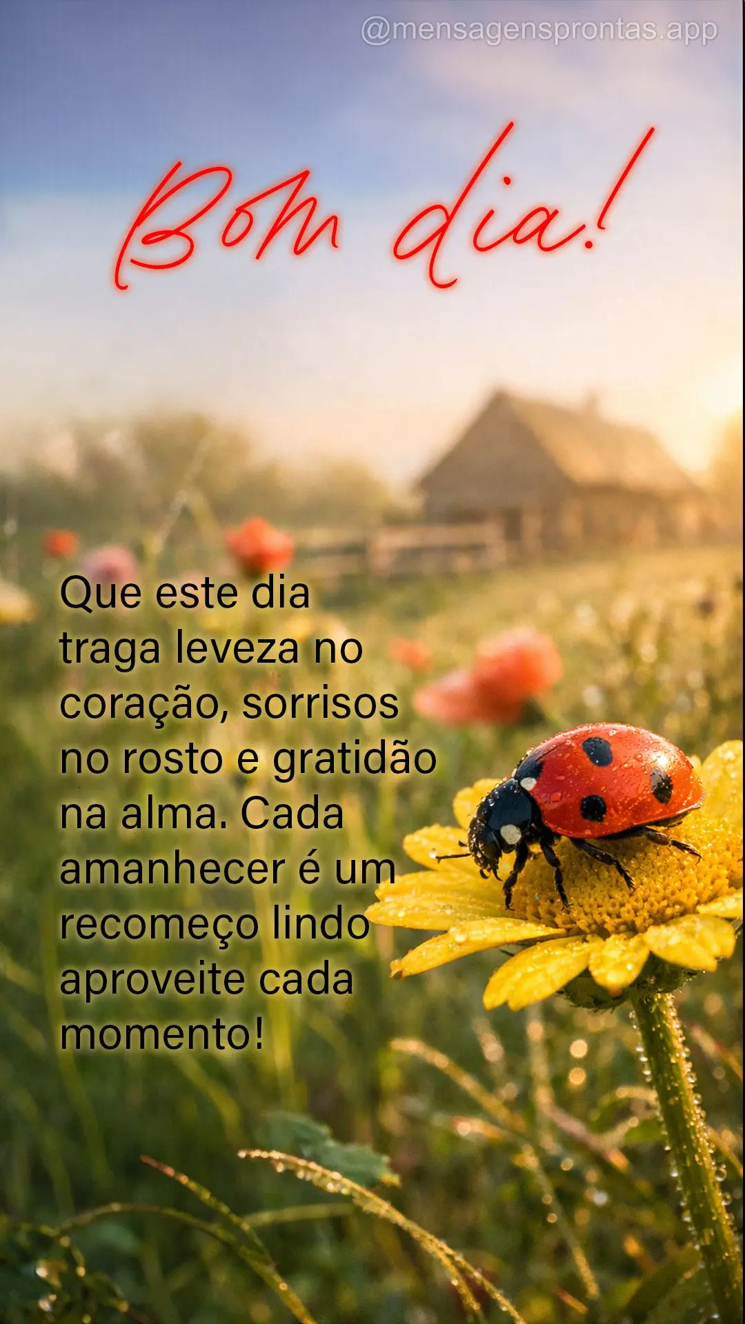 Que este dia traga leveza no coração, sorrisos no rosto e gratidão na alma. Cada amanhecer é um recomeço lindo aproveite cada momento!  Bom dia!