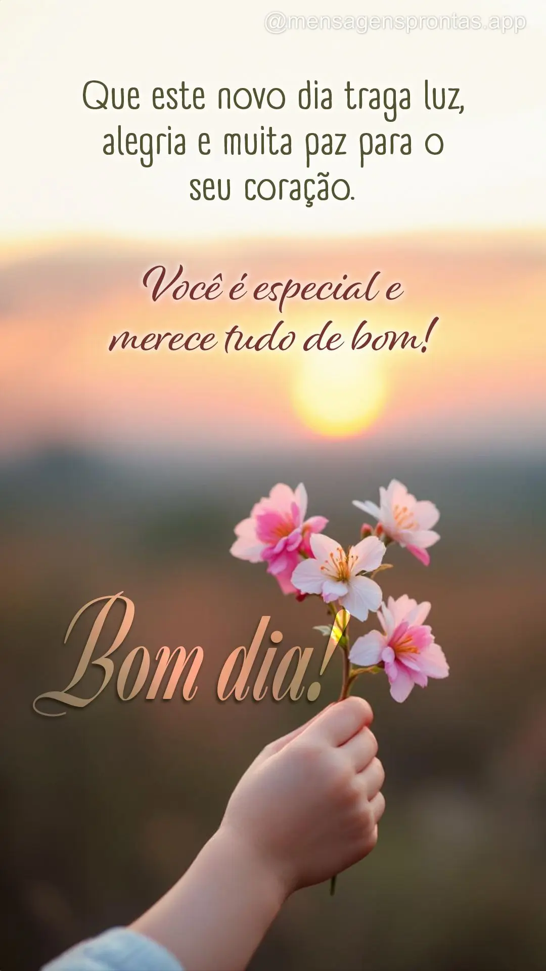 Que este novo dia traga luz, alegria e muita paz para o seu coração. Você é especial e merece tudo de bom! Bom dia!