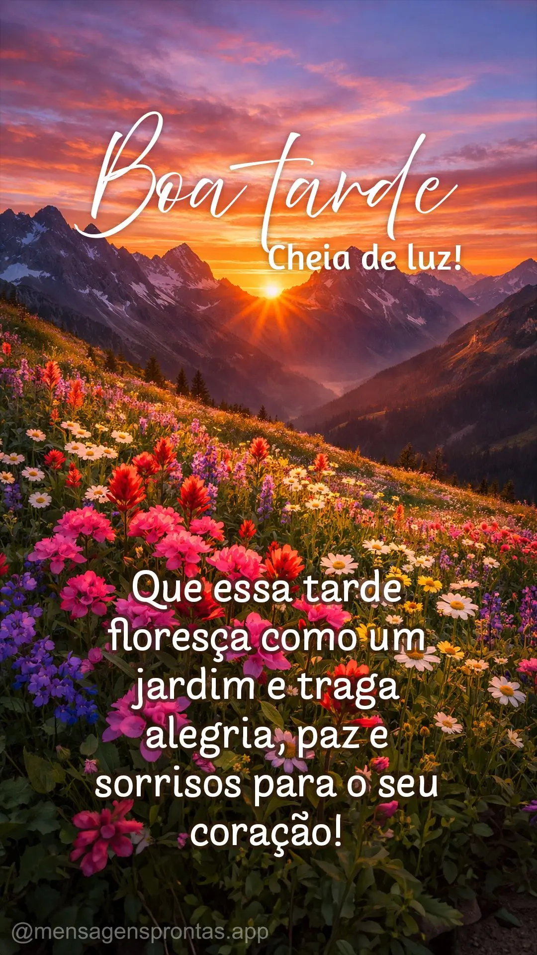 Que essa tarde floresça como um jardim e traga alegria, paz e sorrisos para o seu coração! Boa tarde cheia de luz!