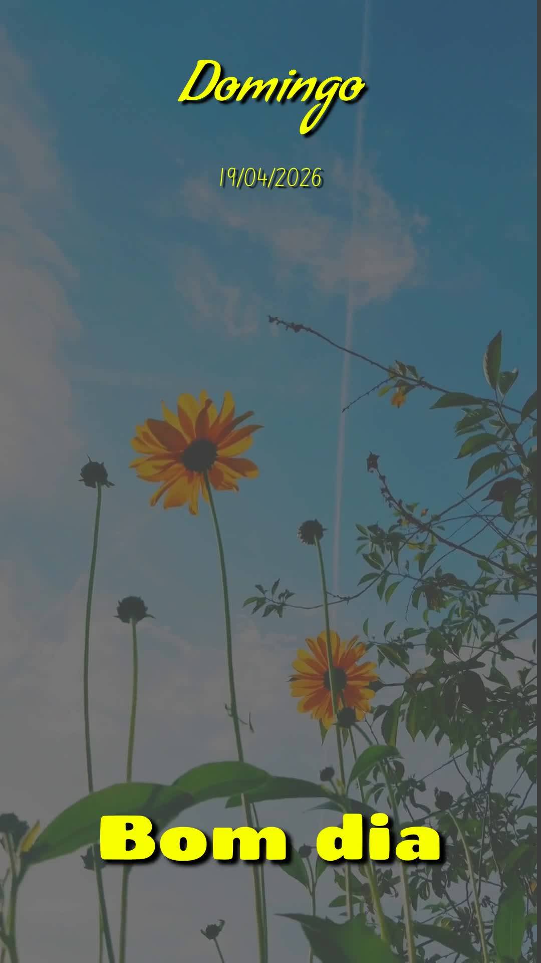 Bom dia, Jesus, meu Mestre e Senhor. Mais uma manhã de domingo começa, e meu coração se enche de gratidão. Hoje, neste dia dezenove de abril de dois...