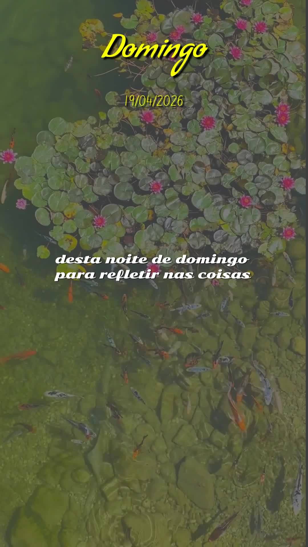 Boa noite! Que noite abençoada esta de domingo, 19 de abril de 2026. Que Deus abençoe este momento tão especial de descanso, renovando as suas forças...