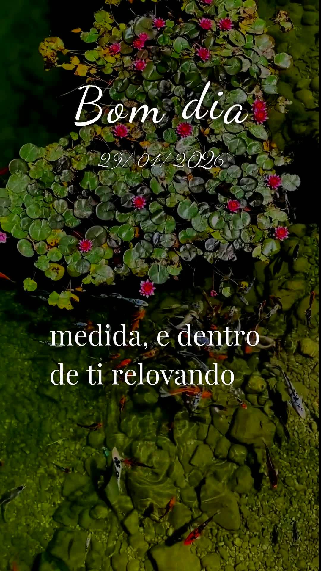 Bom dia! Nesta quarta-feira, 29 de Abril de 2026, enquanto Abril chega ao fim e um novo mês se aproxima, eu proclamo sobre a tua vida uma bênção pode...