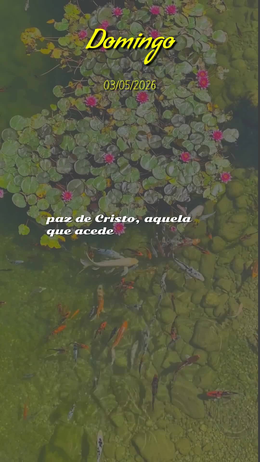 Bom dia! Neste Domingo, 3 de Maio de 2026, eu proclamo uma bênção sobre a tua vida. Que o Senhor Jesus caminhe contigo, ao teu lado como teu fiel defe...