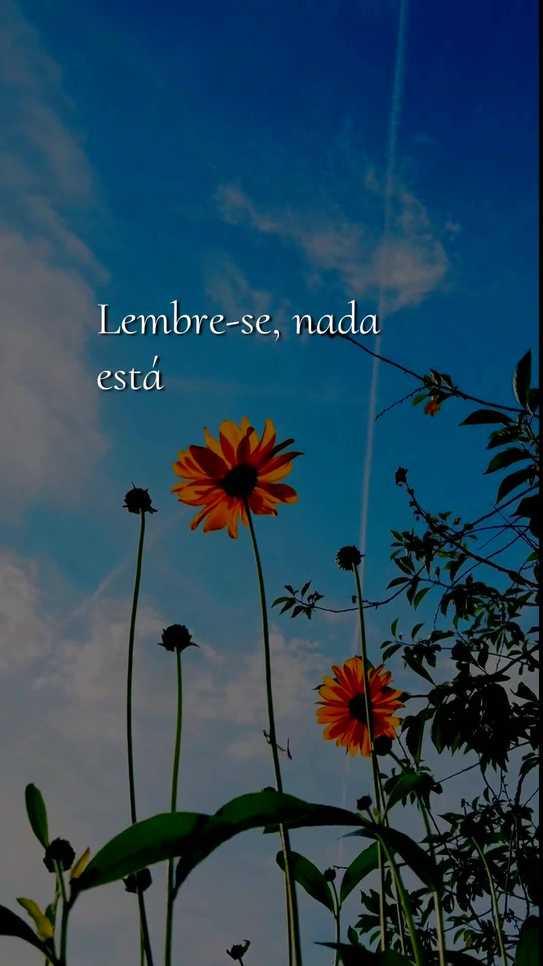 Bom dia! Nesta sexta-feira, 8 de Maio de 2026, eu declaro sobre a sua vida que o céu se abra e derrame bênçãos sem medida. Que cada passo seu hoje se...