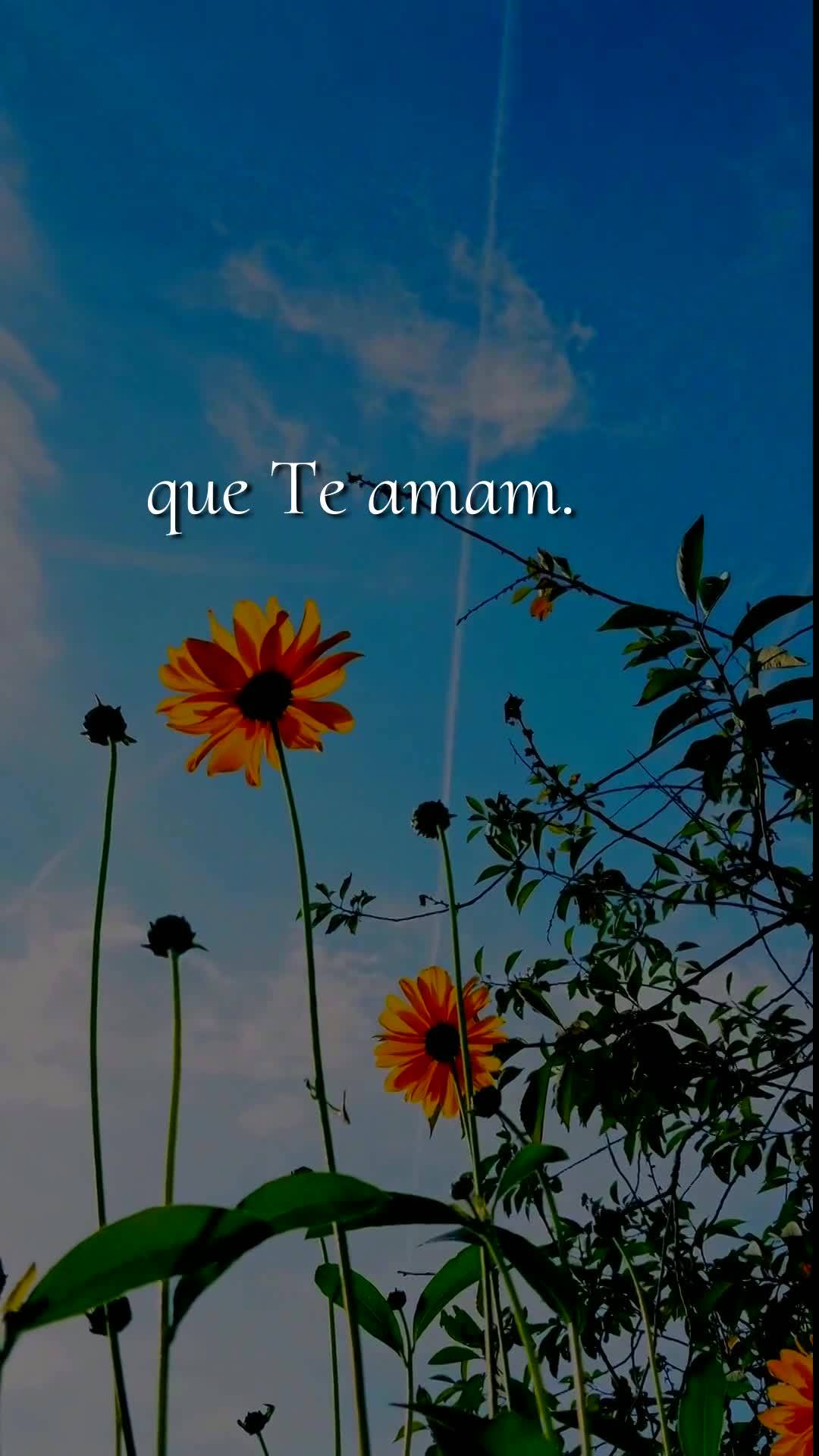 Bom dia, Jesus, meu Mestre e Senhor. Neste sábado, 9 de Maio de 2026, mais uma manhã começa, e eu Te ofereço todas as minhas ações deste dia, para ...