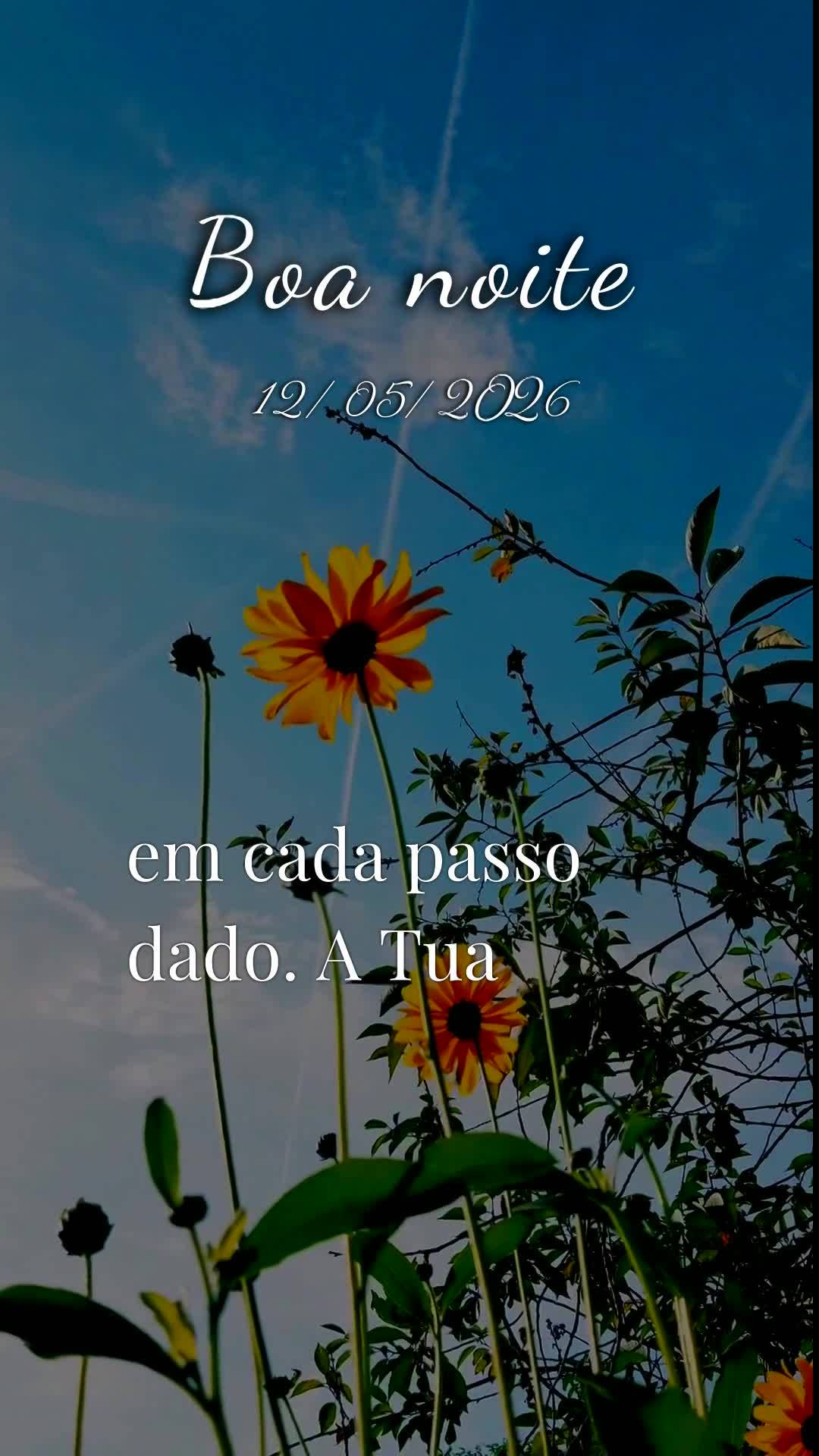 Boa noite, Senhor. Obrigado, meu Deus, por mais uma terça-feira vencida. Tu me livraste de todo mal e me concedeste saúde e força para vencer mais um ...