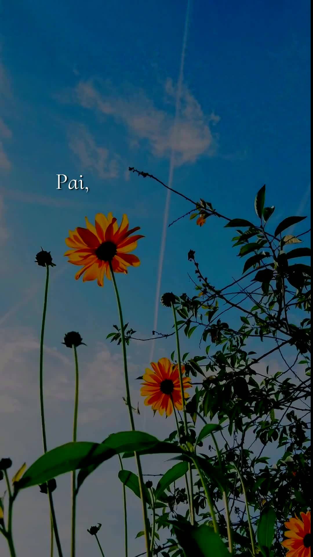 Deus, hoje é terça-feira, meu Pai, dia doze de maio de dois mil e vinte e seis, e antes que esse dia avance, eu paro para te dizer: bom dia, Senhor. Ob...